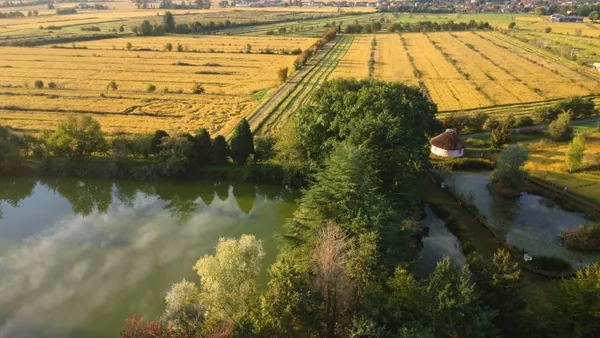 Le risaie